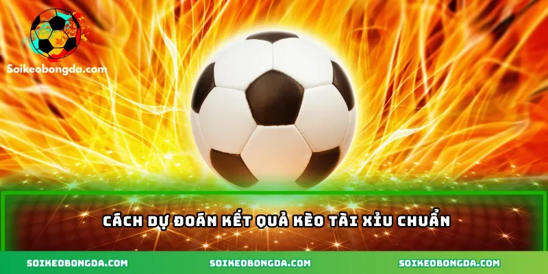 Kèo Tài Xỉu Cả Trận Hiệu Quả Cho Dân Cá Độ Bóng Đá 3 4-cach-du-doan-ket-qua-keo-tai-xiu-chuan