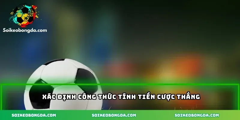 Kèo Số Bàn Theo Mốc Thời Gian Chuẩn Xác Cho Dân Cược 2025 2 3-xac-dinh-cong-thuc-tinh-tien-cuoc-thang