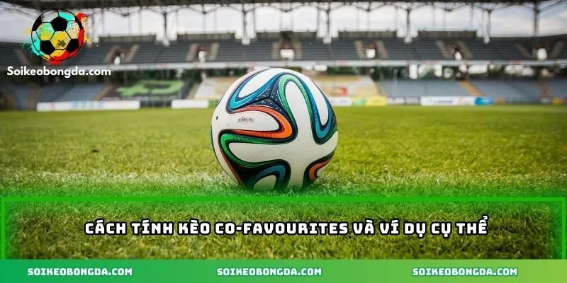 Kèo Co-Favourites – Lợi Ích Và Những Lưu Ý Khi Tham Gia 2 Cách tính kèo hiệu quả và ví dụ