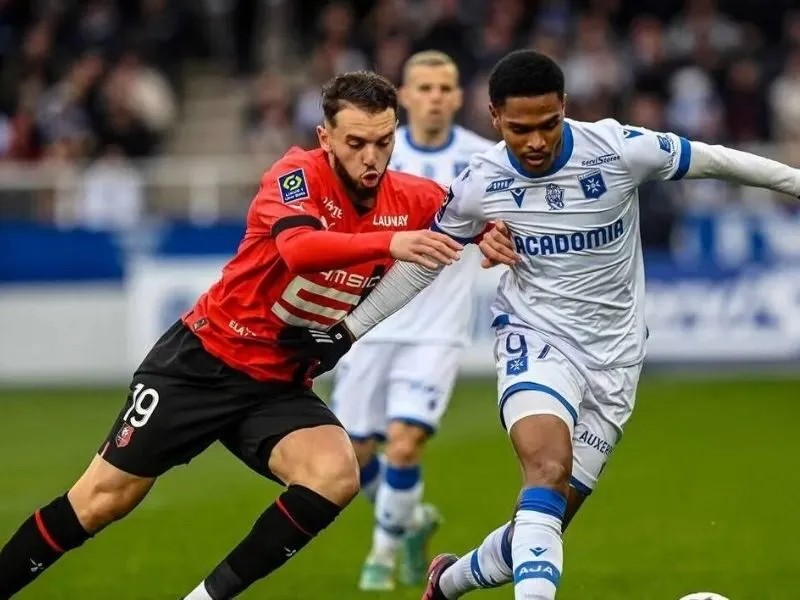 soi-keo-stade-rennais-fc-vs-aj-auxerre-22h15-19-10-4