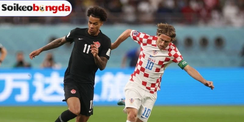 Kèo Châu ÁDự đoán bảng kèo trận Bosnia and Herzegovina vs Qatar