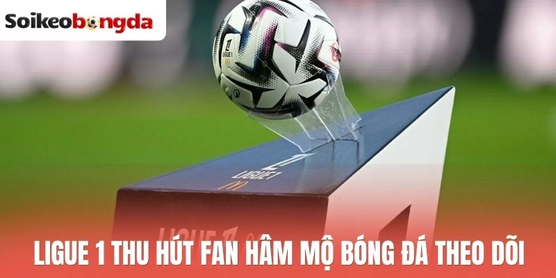 Soi kèo bóng đá 72 Ligue 1 là giải đấu được nhiều người quan tâm theo dõi tỷ lệ kèo