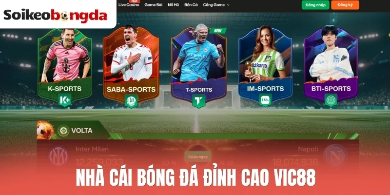 Soi kèo bóng đá 73 Nhà cái Vic88 cung cấp tỷ lệ kèo bóng đá hấp dẫn