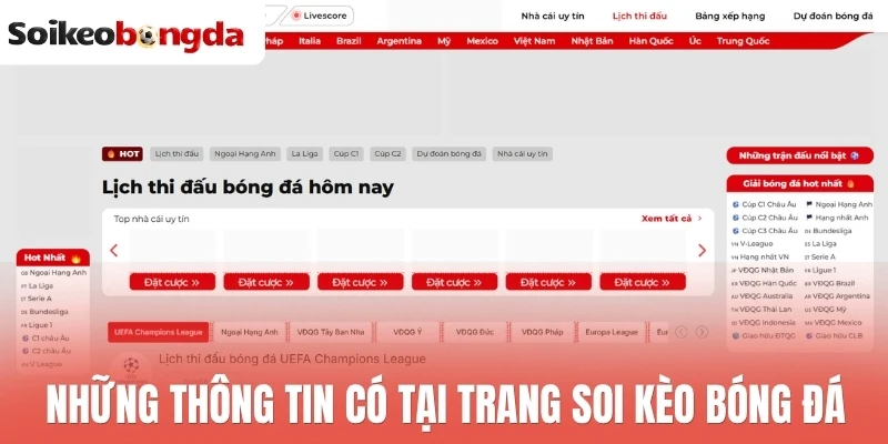 Soi kèo bóng đá 70 Những thông tin có tại trang soi kèo bóng đá
