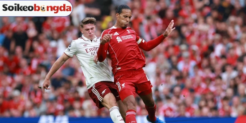 Soi Kèo Tunisia Vs Nhật Bản - Bảng F World Cup 11h00 21/06/2026 3 Sơ đồ dự kiến trận Tunisia vs Nhật Bản