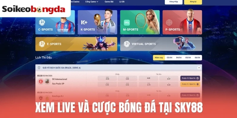 Soi kèo bóng đá 85 Sky88 hỗ trợ xem trực tiếp và đặt kèo bóng đá